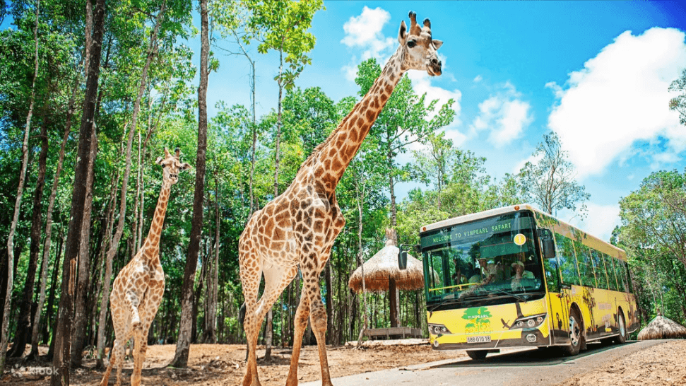 Vinpearl Safari - VinWonders