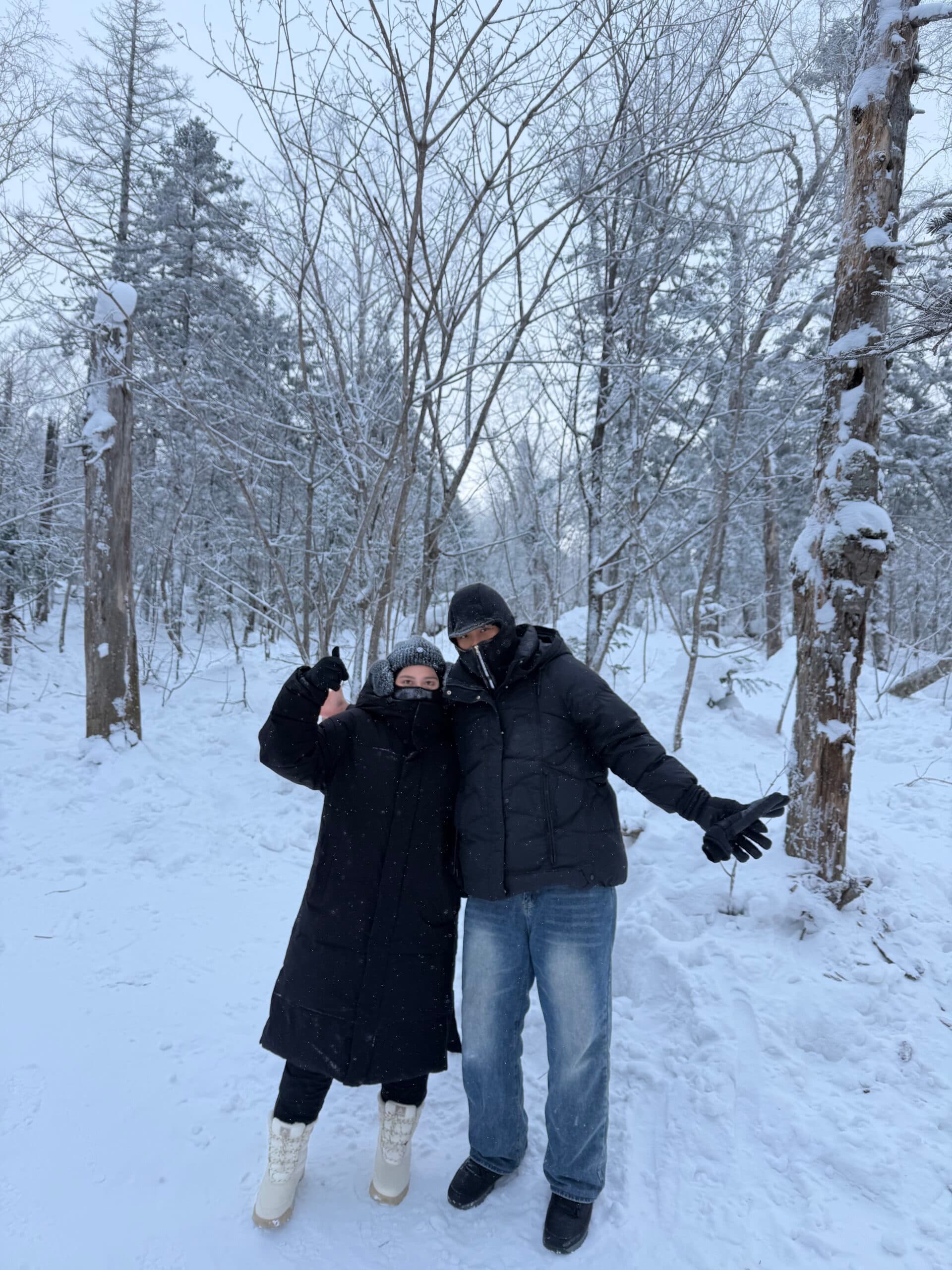 Sleigh Ride di Snow Town