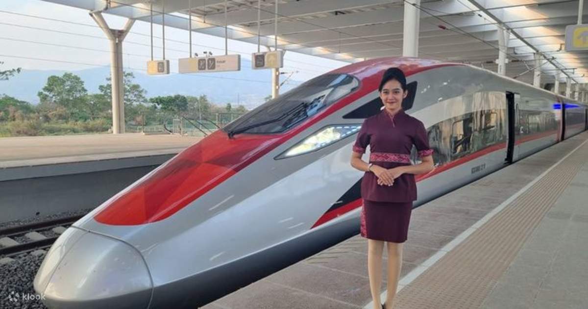Naik Whoosh Train