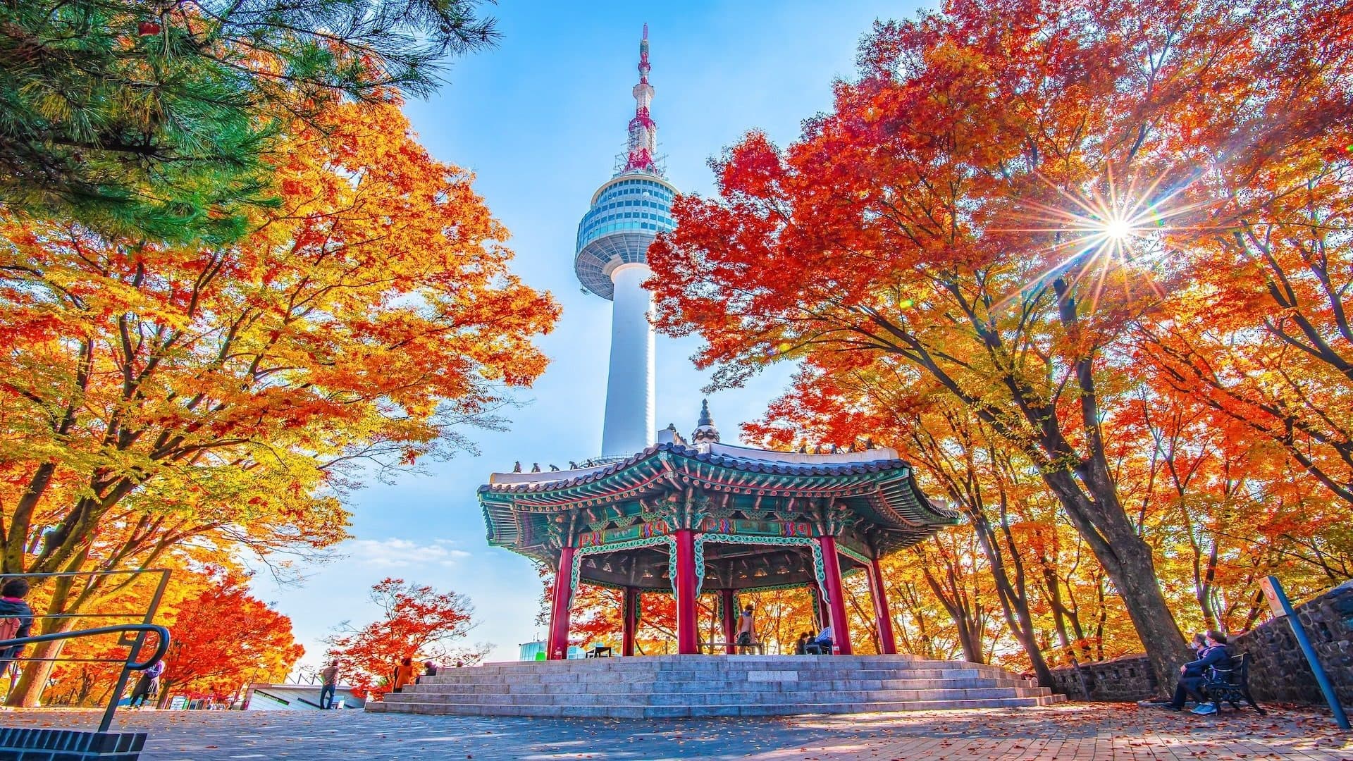 Seoul City Tour