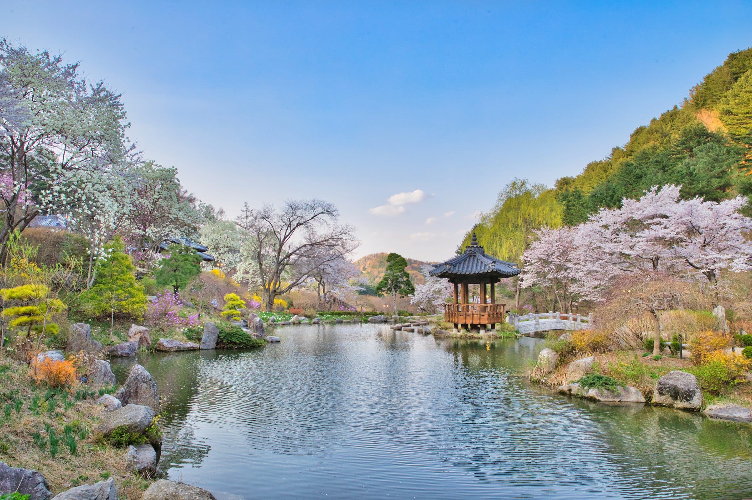 Seoul - Nami Island - Seoul