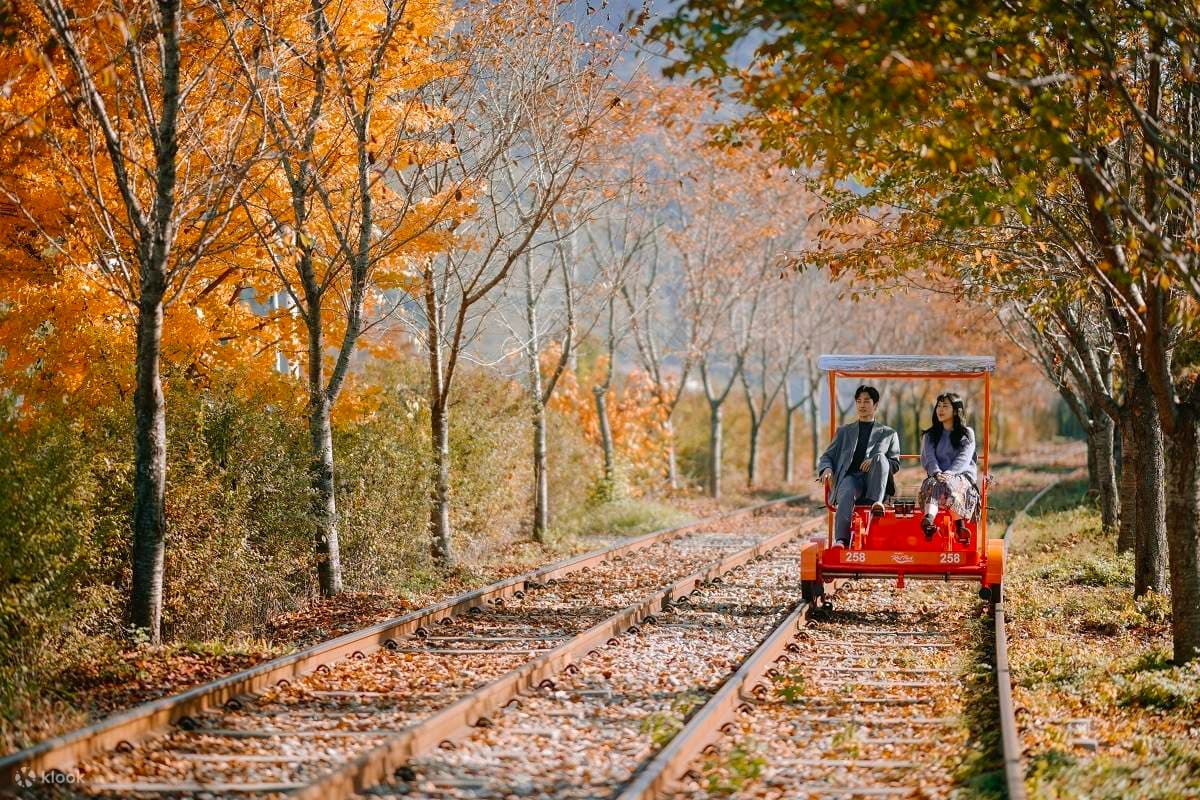 Seoul - Nami Island - Seoul