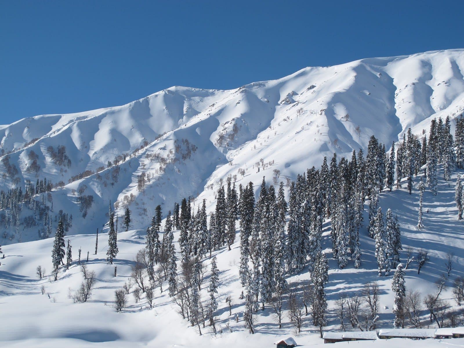 Srinagar - Gulmarg - Srinagar