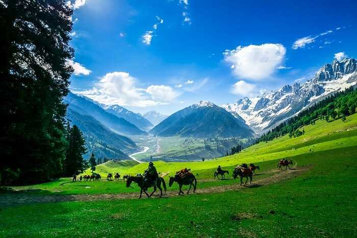 Srinagar - Sonmarg - Srinagar