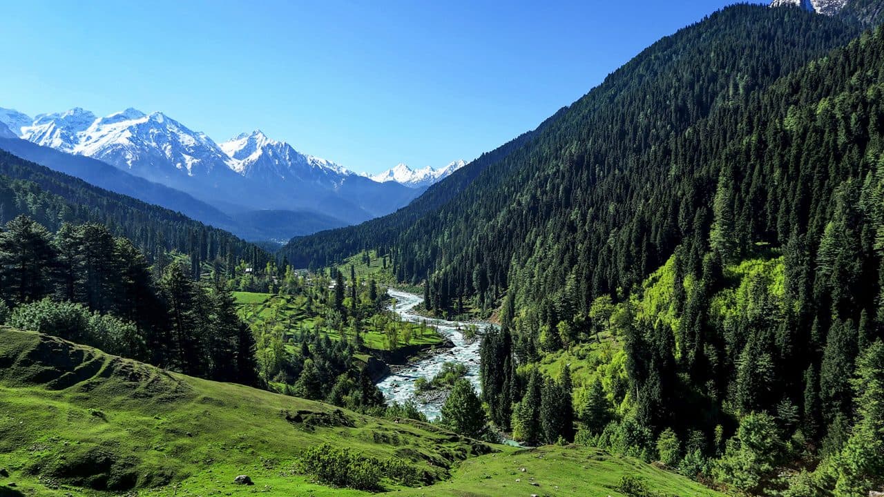Srinagar - Pahalgam - Srinagar