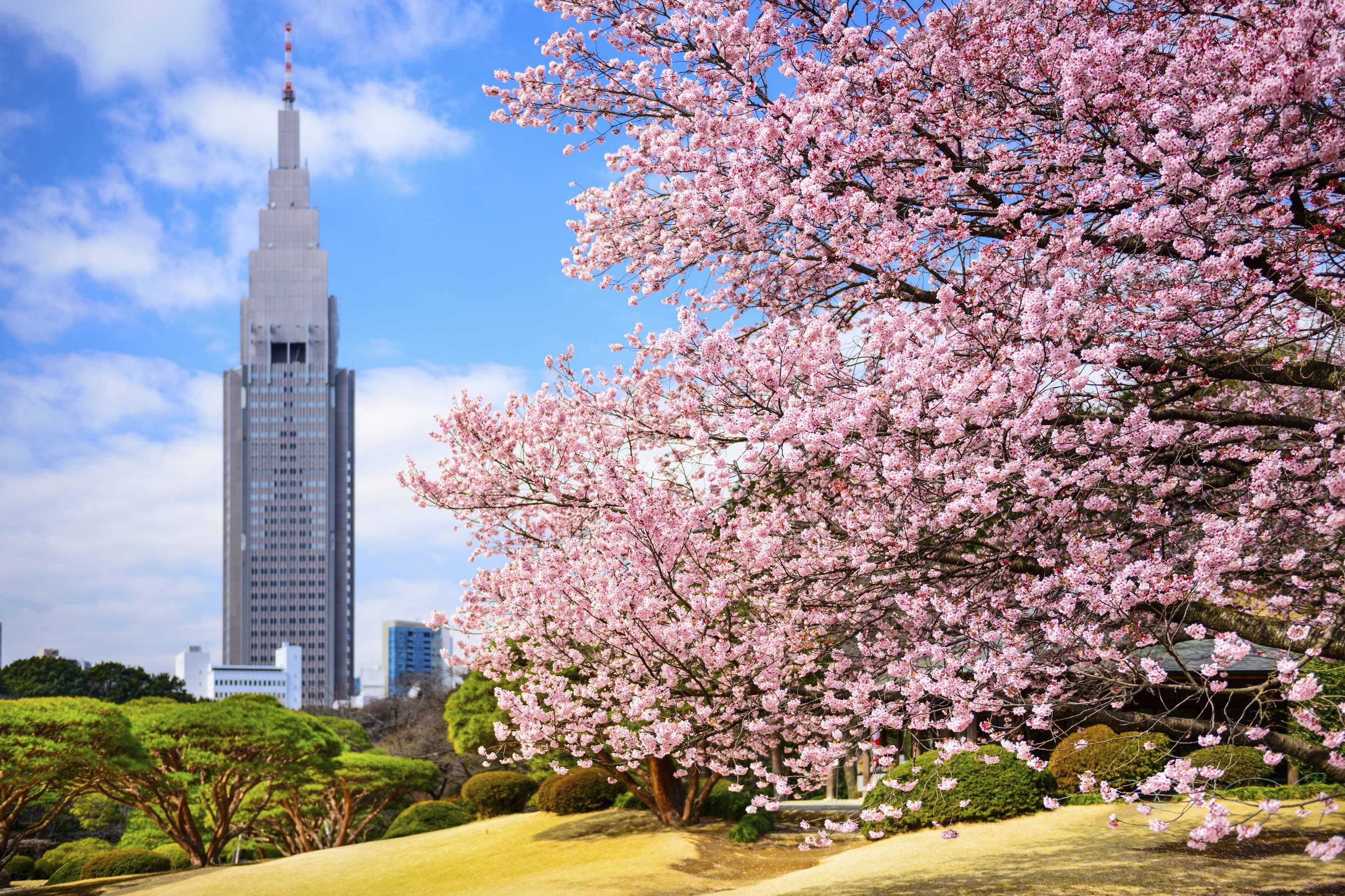 Kuala Lumpur - Tokyo