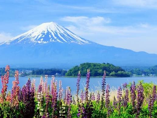 Mount Fuji Day TRip