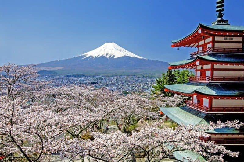 Mount Fuji Day TRip