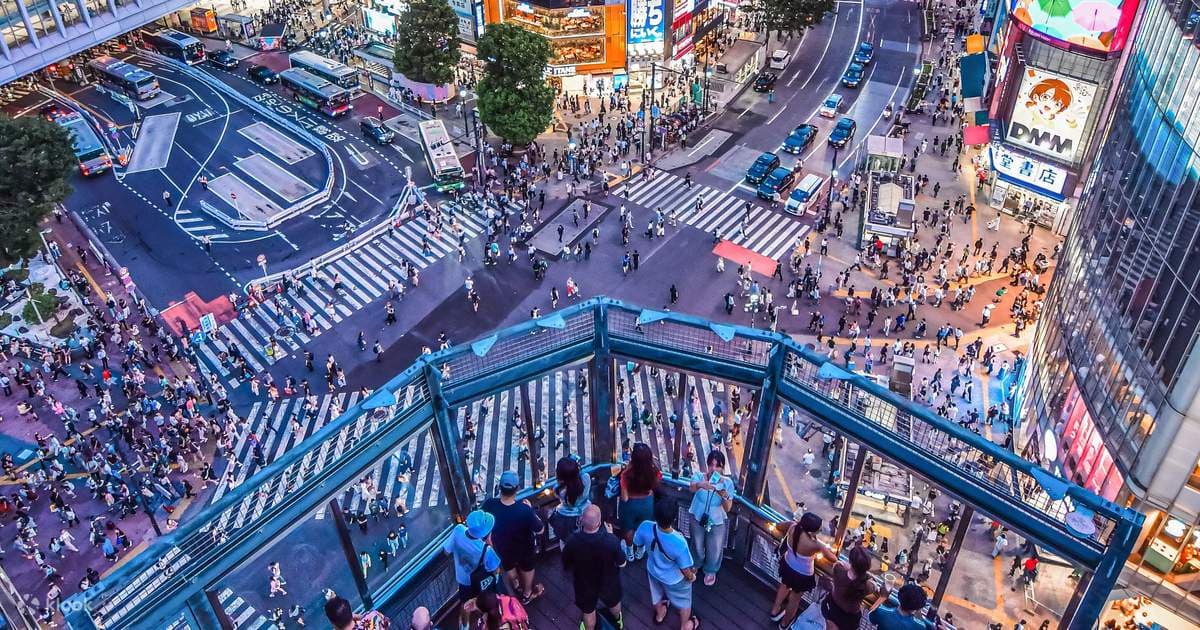 Tokyo City Tour