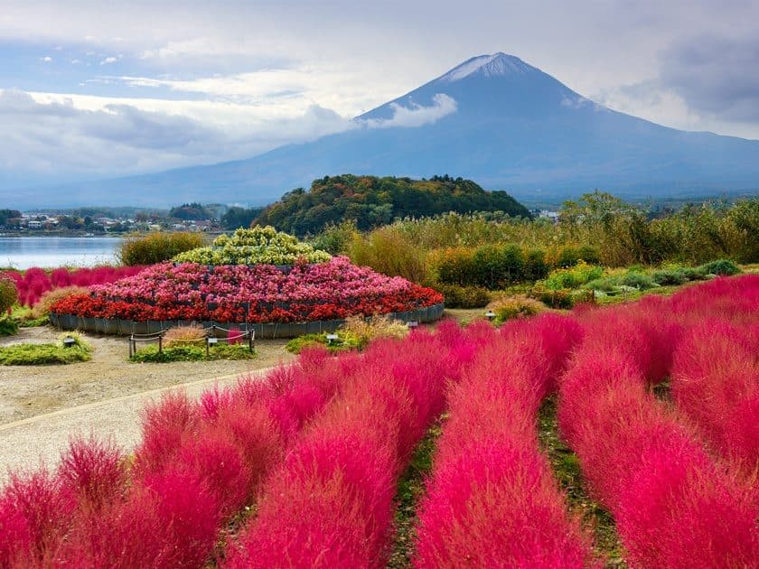 Mt. Fuji Day Trip