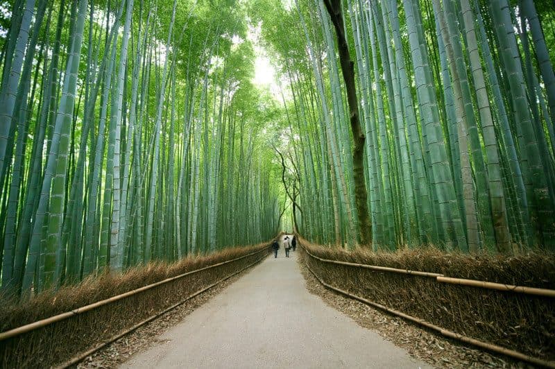 Osaka - Kyoto - Osaka