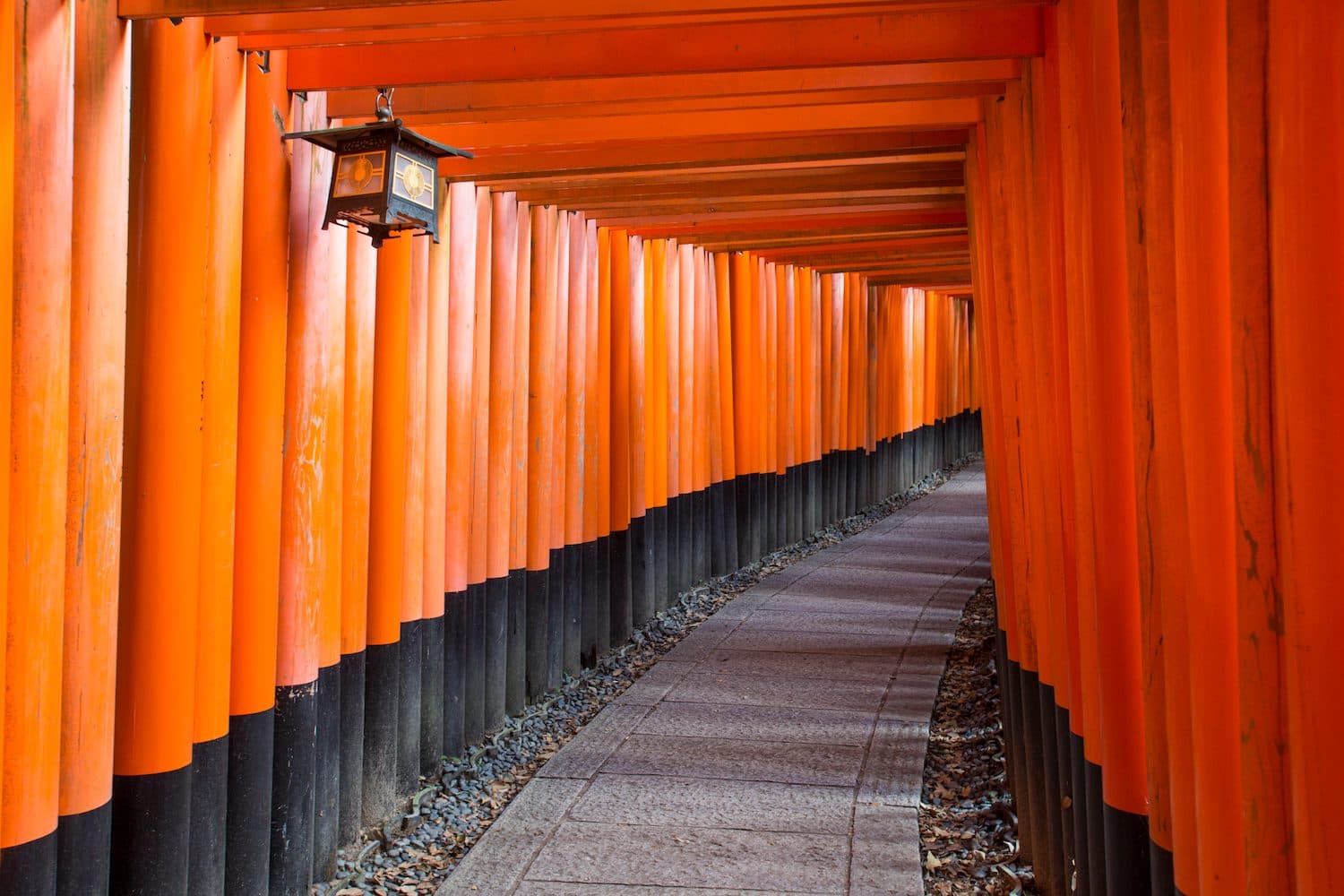 Osaka - Kyoto - Osaka