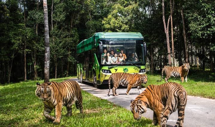 Vinpearl Safari